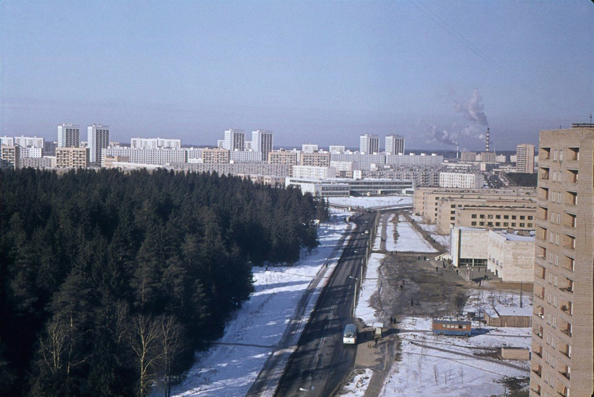 Зеленоград, новости: Белый зеленый город