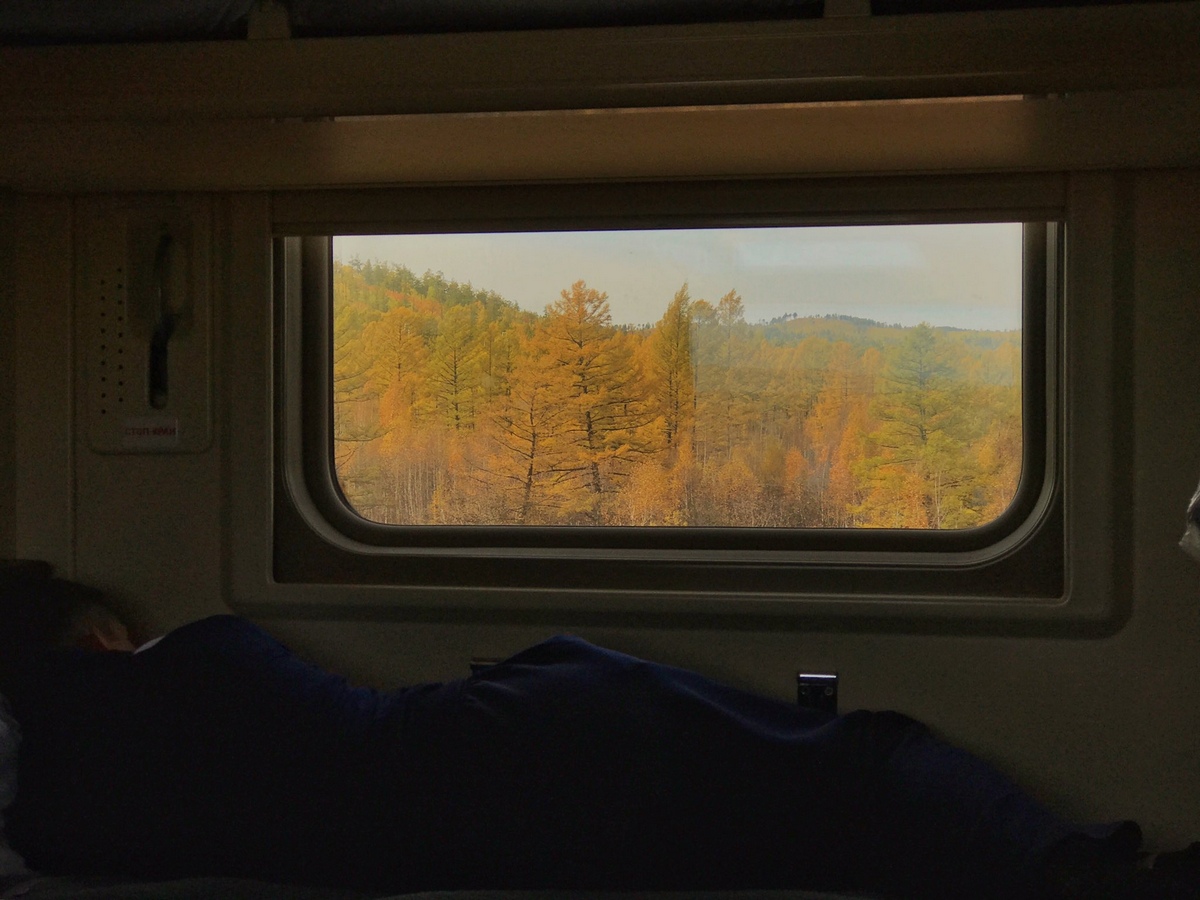 Фото Из Окна Поезда Осенью
