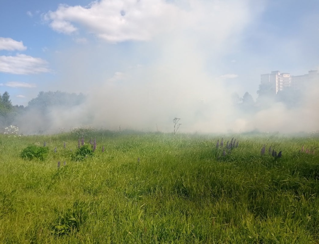 Зеленоград, новости: Травяной пожар произошел в Менделеево