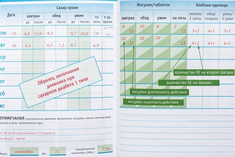 Дневник при гестационном диабете. Дневник диабетика дневник самоконтроля при сахарном диабете 2. Дневник самоконтроля СД 1 Тип. Дневник самоконтроля при сахарном диабете 1 типа. Дневник диабетика 1 типа для печати с графиком.